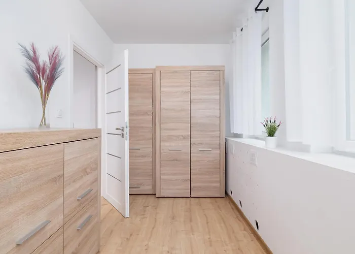 Jasny Blisko Tauron Arena By Renters